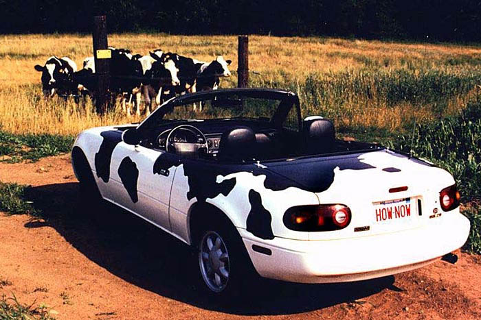 Cow Catcher Car